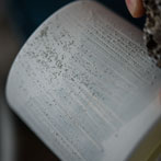 Juliet Macleod in her studio 2018